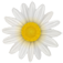 Logo Daisylab